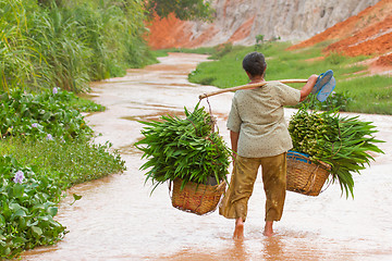 Image showing MUI NE, VIETNAM, 26 JULY 2012 - A Vietnamese farmer (woman) her 