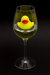 Image showing Yellow rubber duck in a wineglass