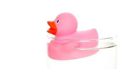 Image showing Pink duck