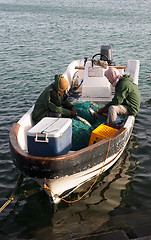 Image showing Landing the catch