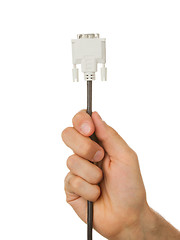 Image showing Hand holding a cable used for computers, isolated