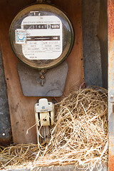 Image showing Nest of a sparrow in a cabinet with electrical meter 