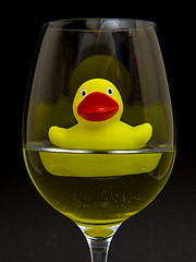 Image showing Yellow rubber duck in a wineglass