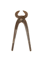 Image showing Old iron nippers isolated