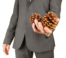 Image showing Man in grey suit is holding two pine cones