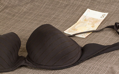 Image showing Lingerie with money