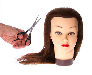 Image showing Barber student accessory 