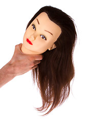 Image showing Hand holding a puppet (hair styling)