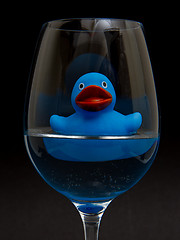 Image showing Blue rubber duck in a wineglass