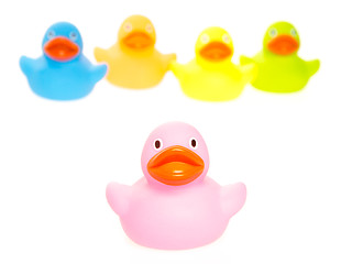 Image showing Rubber ducks isolated