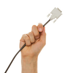 Image showing Hand holding a cable used for computers, isolated