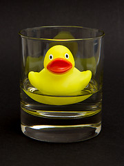 Image showing Yellow rubber duck in a whiskyglass 