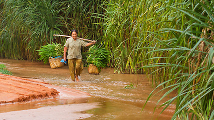 Image showing MUI NE, VIETNAM, 26 JULY 2012 - A Vietnamese farmer (woman) her 