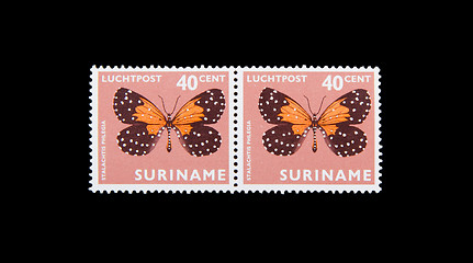 Image showing SURINAME - CIRCA 1960: Stamps printed by Suriname, shows butterf