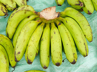 Image showing Green banana for sale on a Vietnamese market