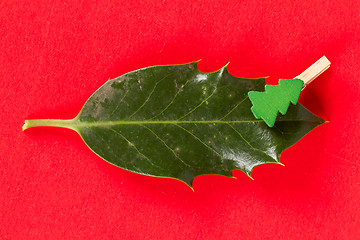 Image showing Small clothes pin with a christmas tree on a leaf (butchers broo