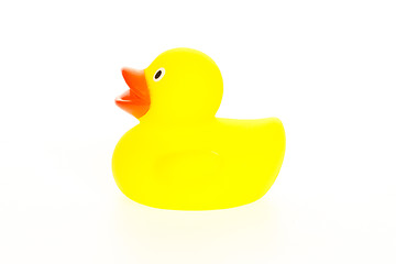 Image showing Yellow duck isolated