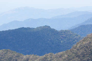 Image showing View of a the Vietnamese jungle