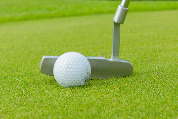 Image showing Golf ball on front of a driver