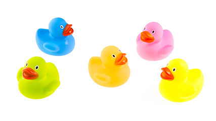 Image showing Rubber ducks isolated