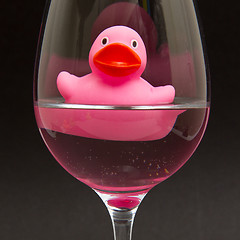 Image showing Pink rubber duck in a wineglass