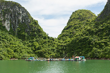 Image showing Floating fisherman's village in ha long bay