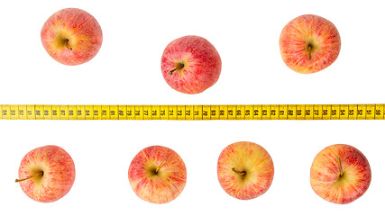 Image showing Red apples with a yellow tape-measure