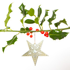 Image showing Very old silver star hanging from a twig (butchers broom)