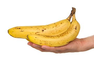 Image showing Hand full of bananas