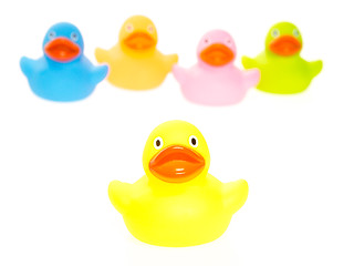 Image showing Rubber ducks isolated