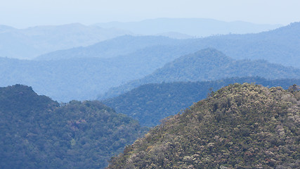 Image showing View of a the Vietnamese jungle