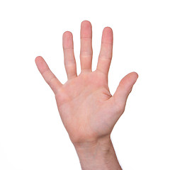 Image showing Man's hand isolated 