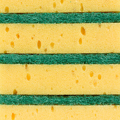 Image showing Kitchen sponge isolated