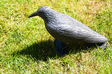 Image showing Plastic Bird