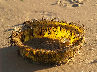 Image showing Sand toys