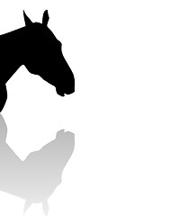 Image showing sillhouette of a horse head with reflection