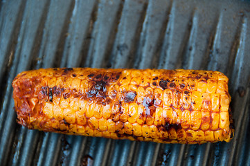 Image showing Sweet Corn On BBQ