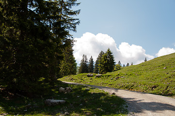 Image showing Mountain Path