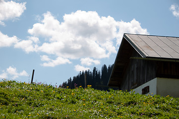 Image showing Alpine Pasture