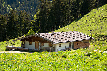 Image showing Alpine Pasture