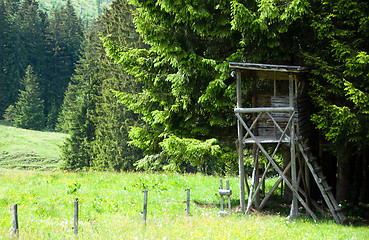 Image showing Raised Hide