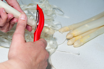 Image showing Peeling Asparagus
