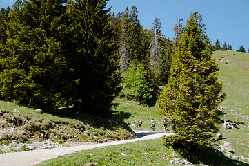 Image showing Mountain Bike Riders