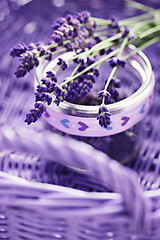 Image showing lavender flowers