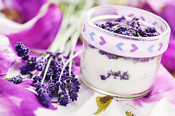 Image showing lavender sugar