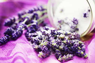 Image showing lavender sugar