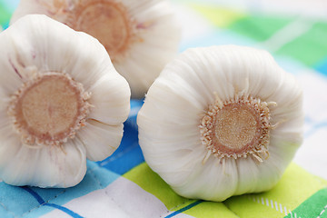 Image showing fresh garlic