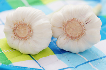 Image showing fresh garlic