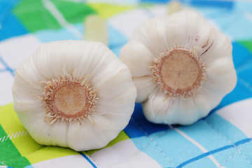 Image showing fresh garlic