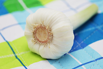 Image showing fresh garlic